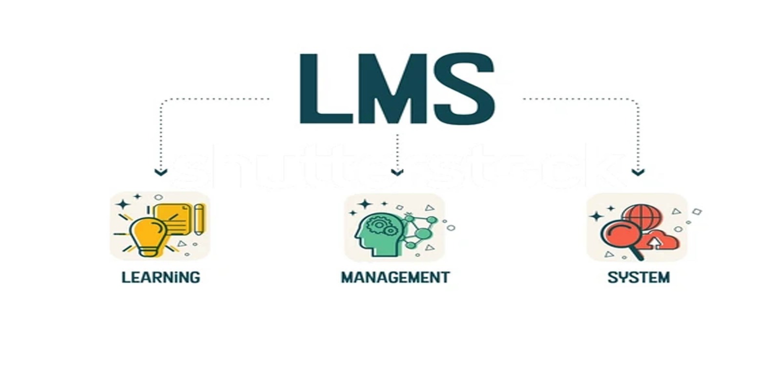 Learning Management System