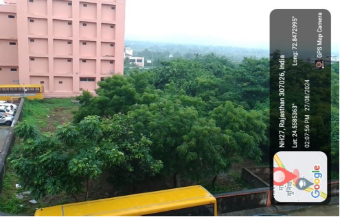 undergraduate education