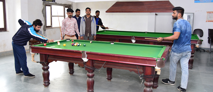 undergraduate education